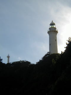 쓇蓔
