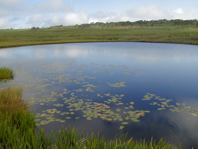 JiƂj
