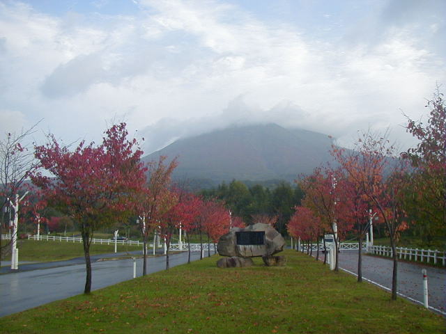 ̍gt